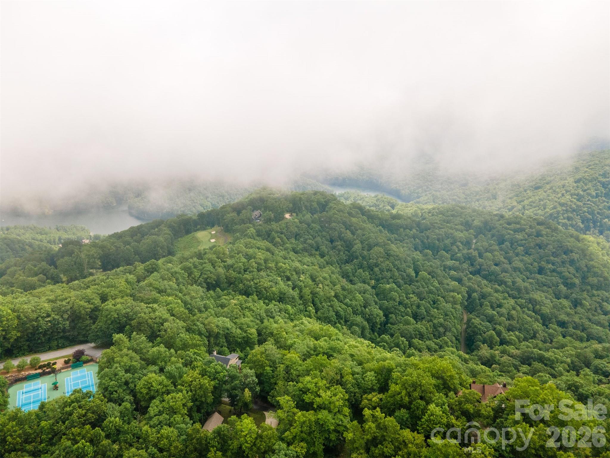633 Steeplebush Court Property Photo 6