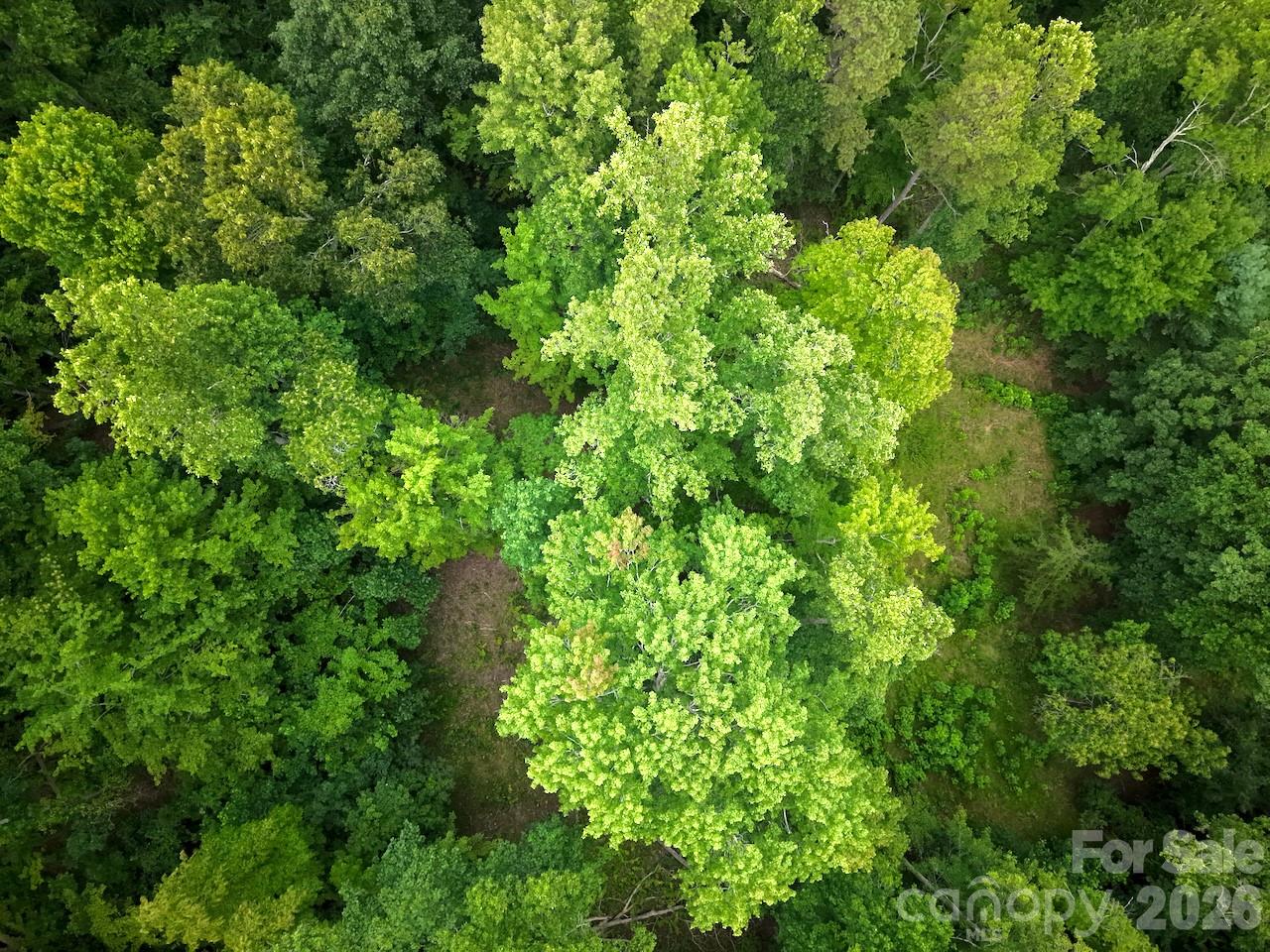 120 Ben Lippen School Road Property Photo 3