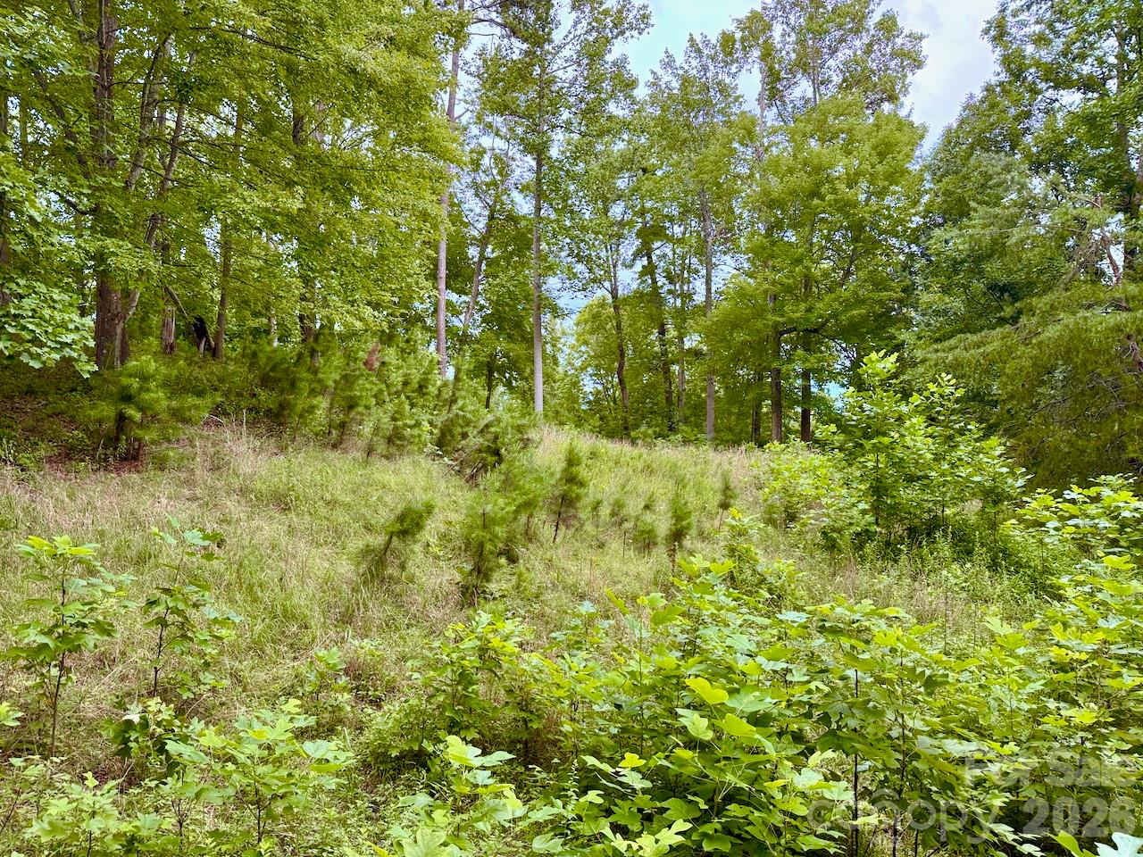 120 Ben Lippen School Road Property Photo 4