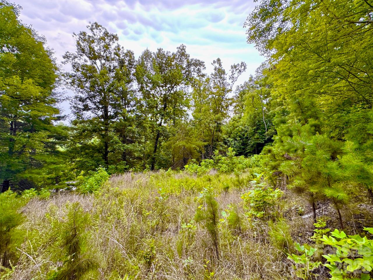 120 Ben Lippen School Road Property Photo 5