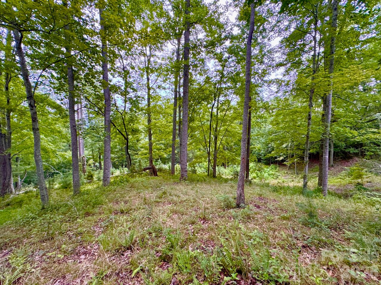 120 Ben Lippen School Road Property Photo 7