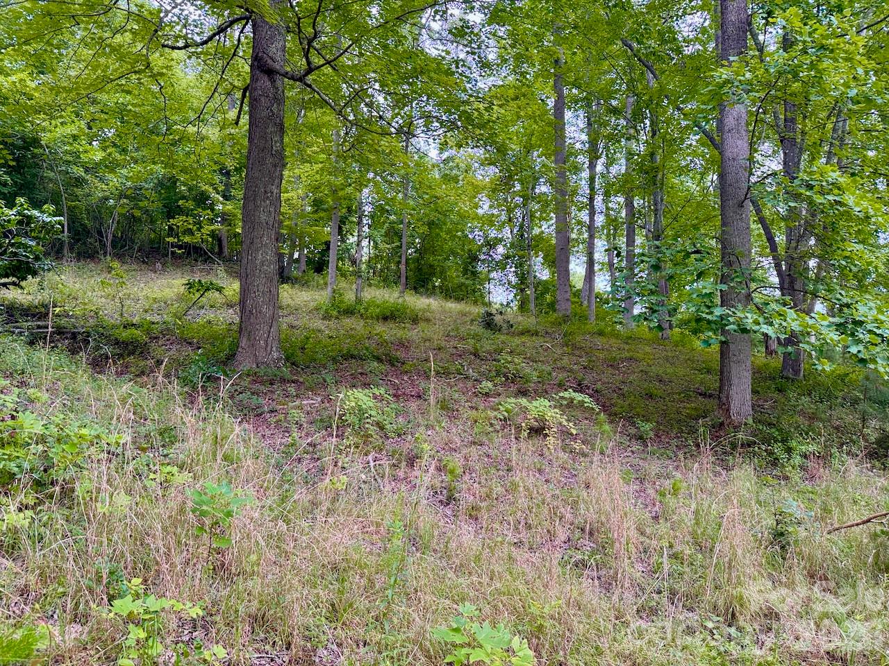 120 Ben Lippen School Road Property Photo 8