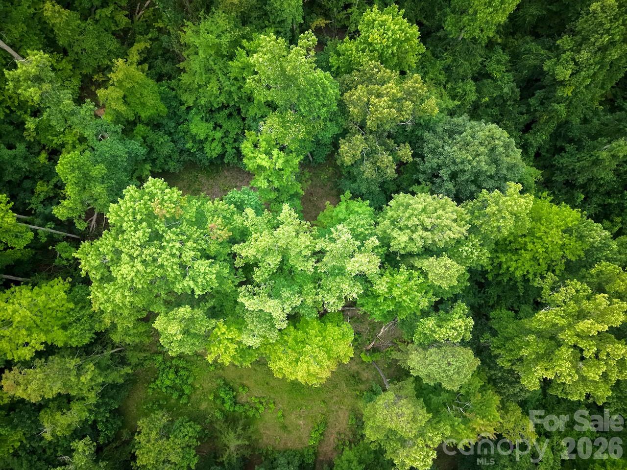 120 Ben Lippen School Road Property Photo 11