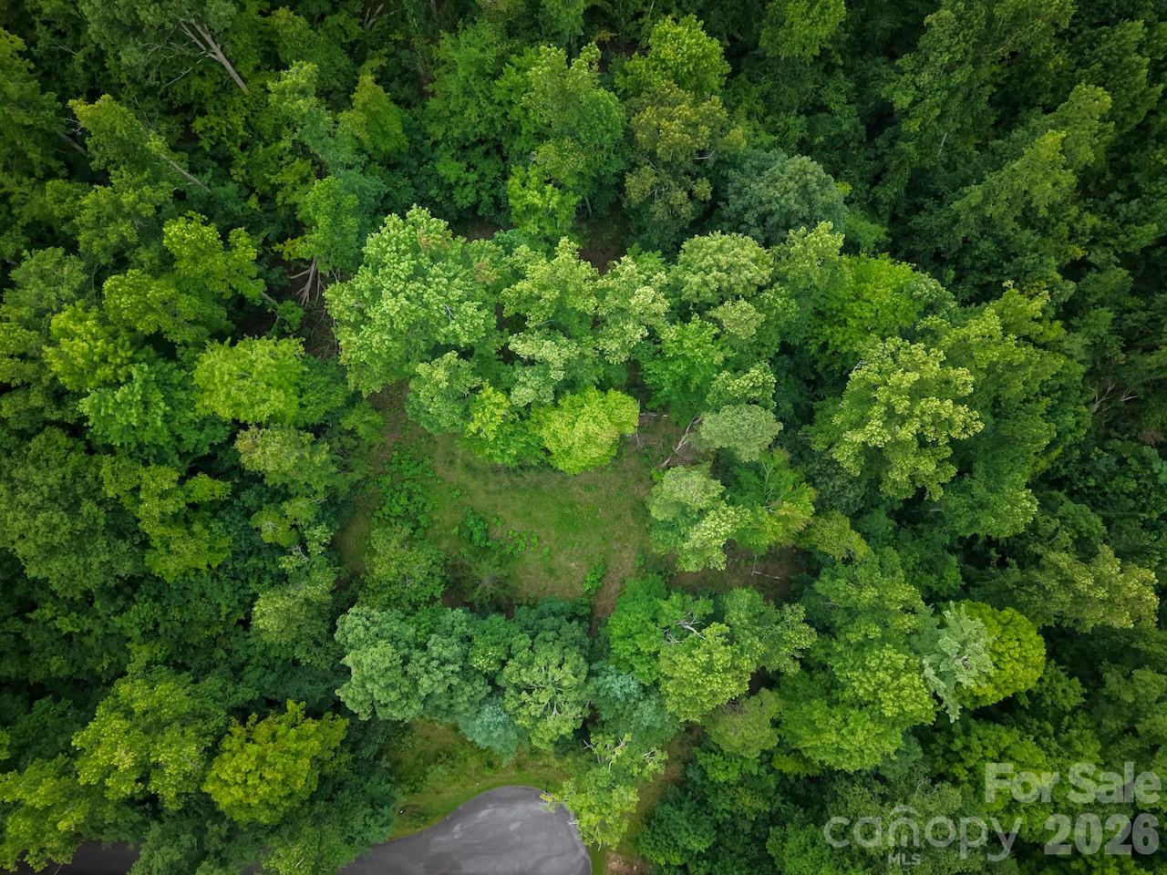 120 Ben Lippen School Road Property Photo 12