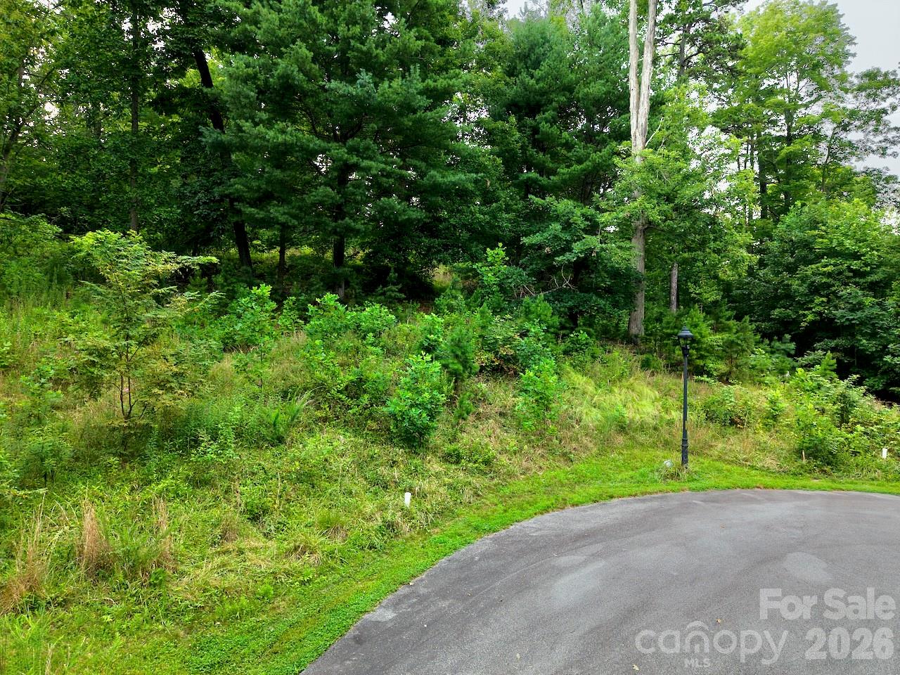 120 Ben Lippen School Road Property Photo 17