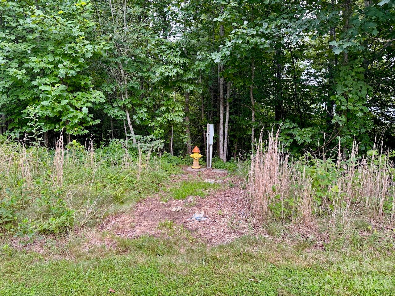 120 Ben Lippen School Road Property Photo 18