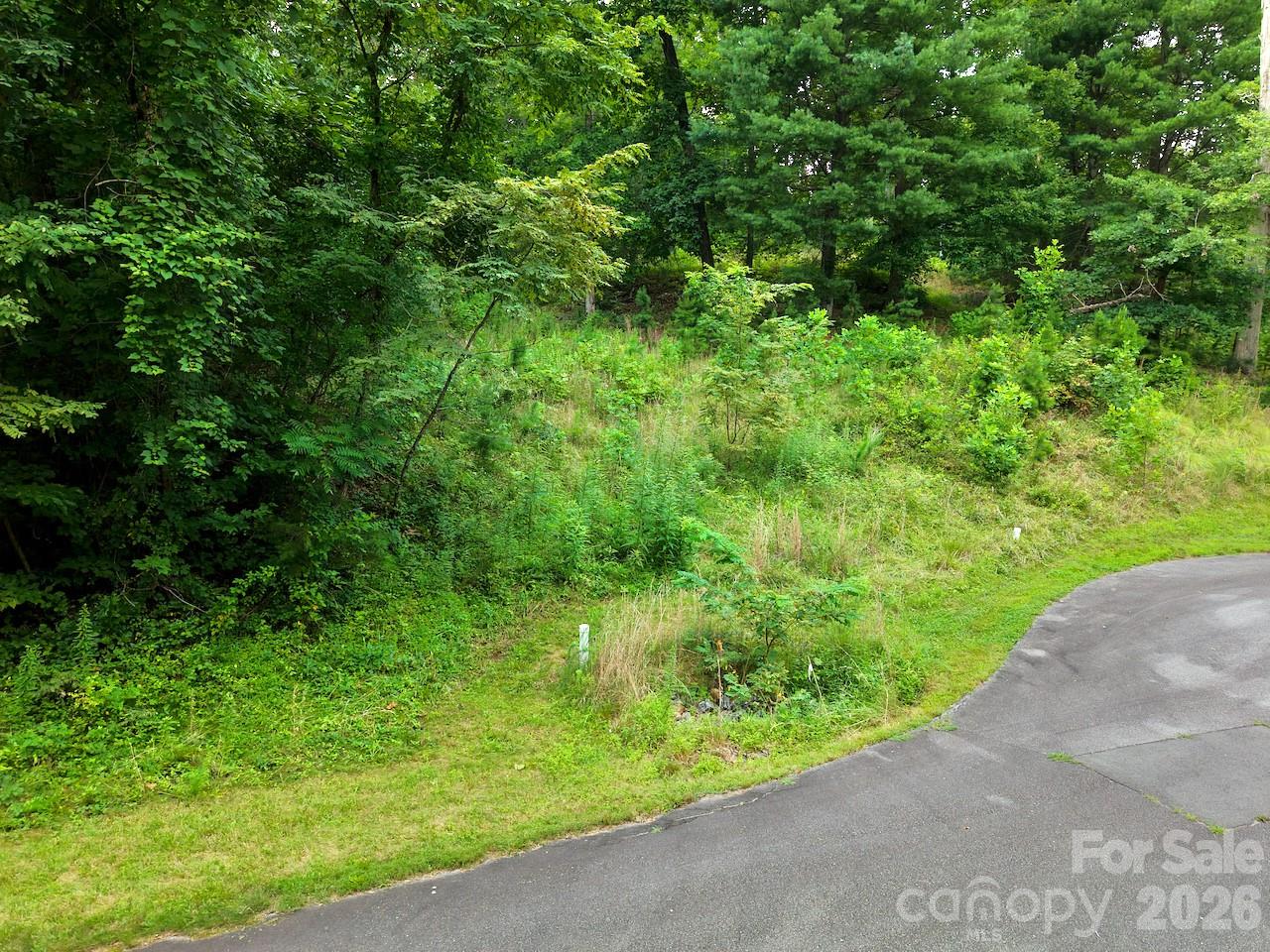 120 Ben Lippen School Road Property Photo 20