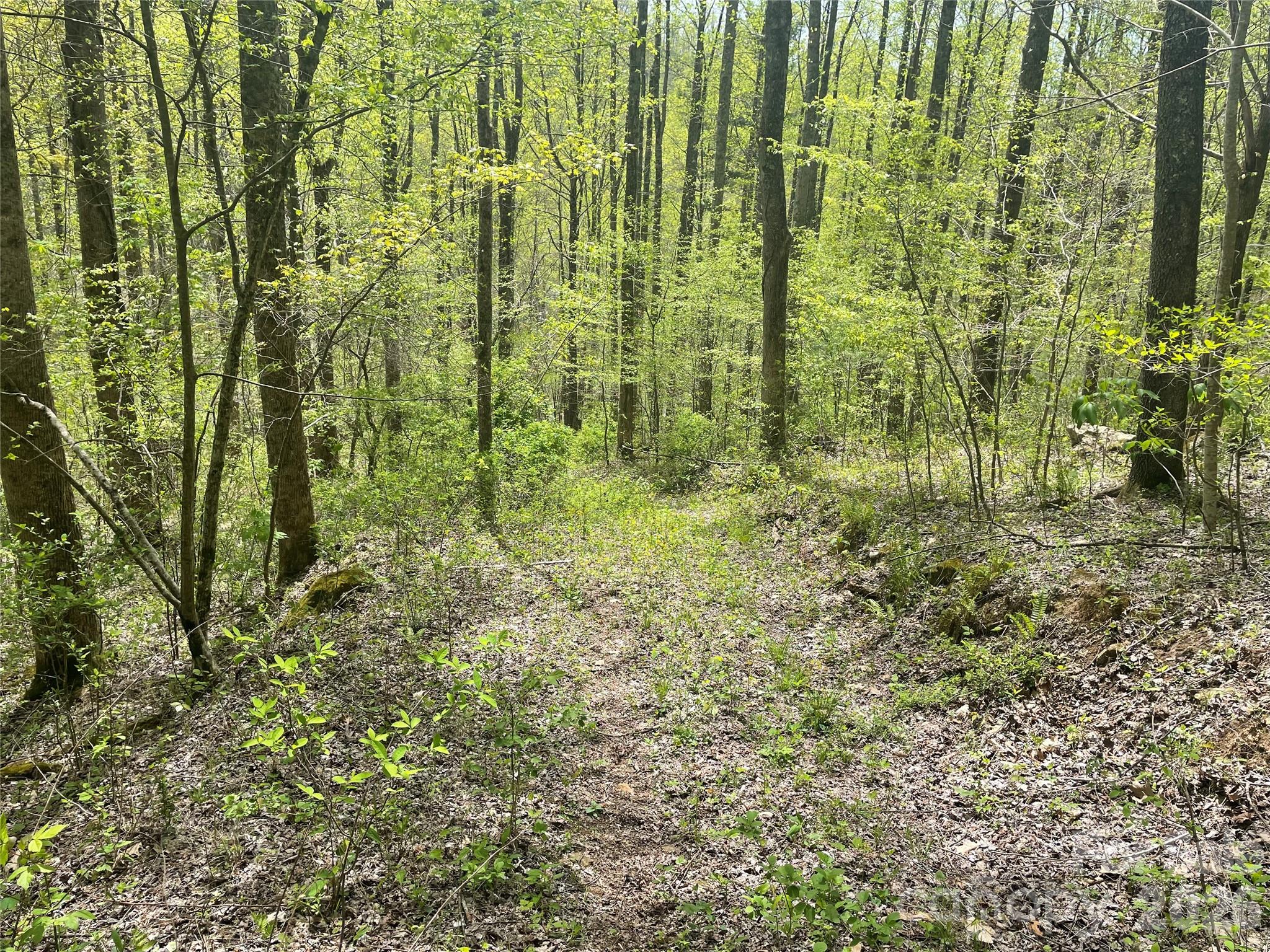 99999 Martins Creek Road Property Photo 2