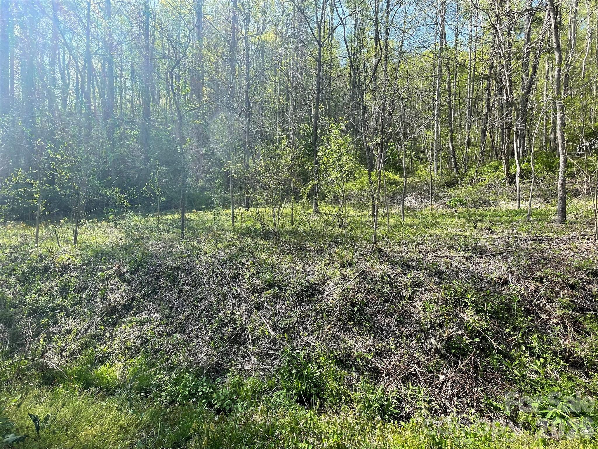 99999 Martins Creek Road Property Photo 3