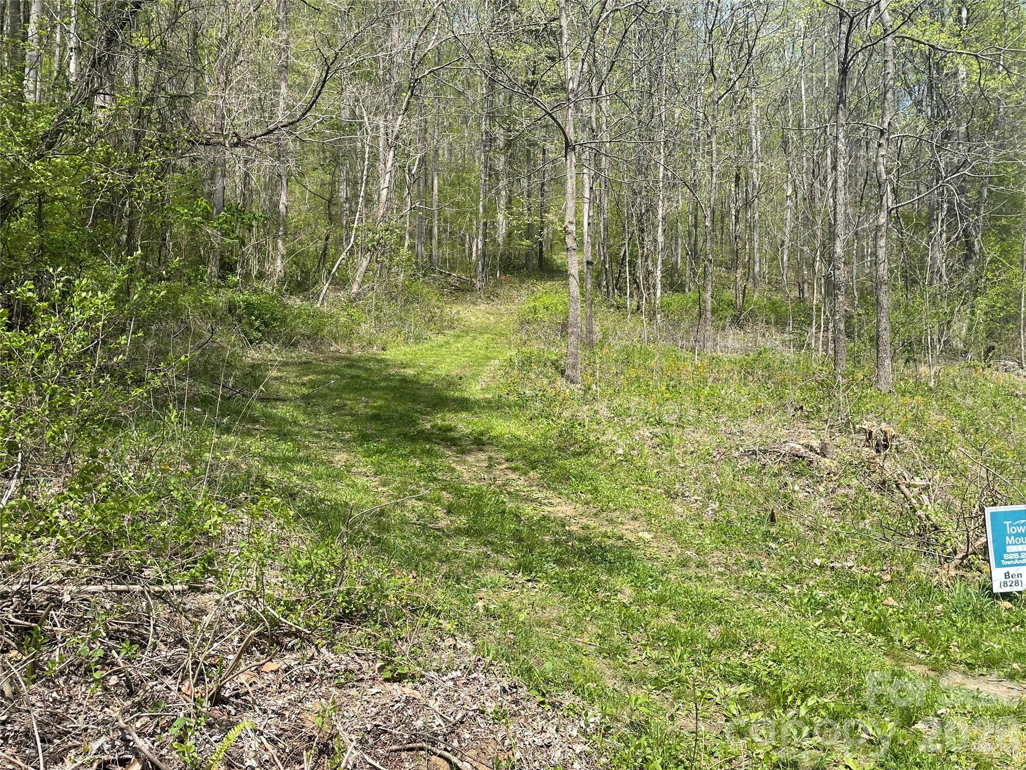 99999 Martins Creek Road Property Photo 5