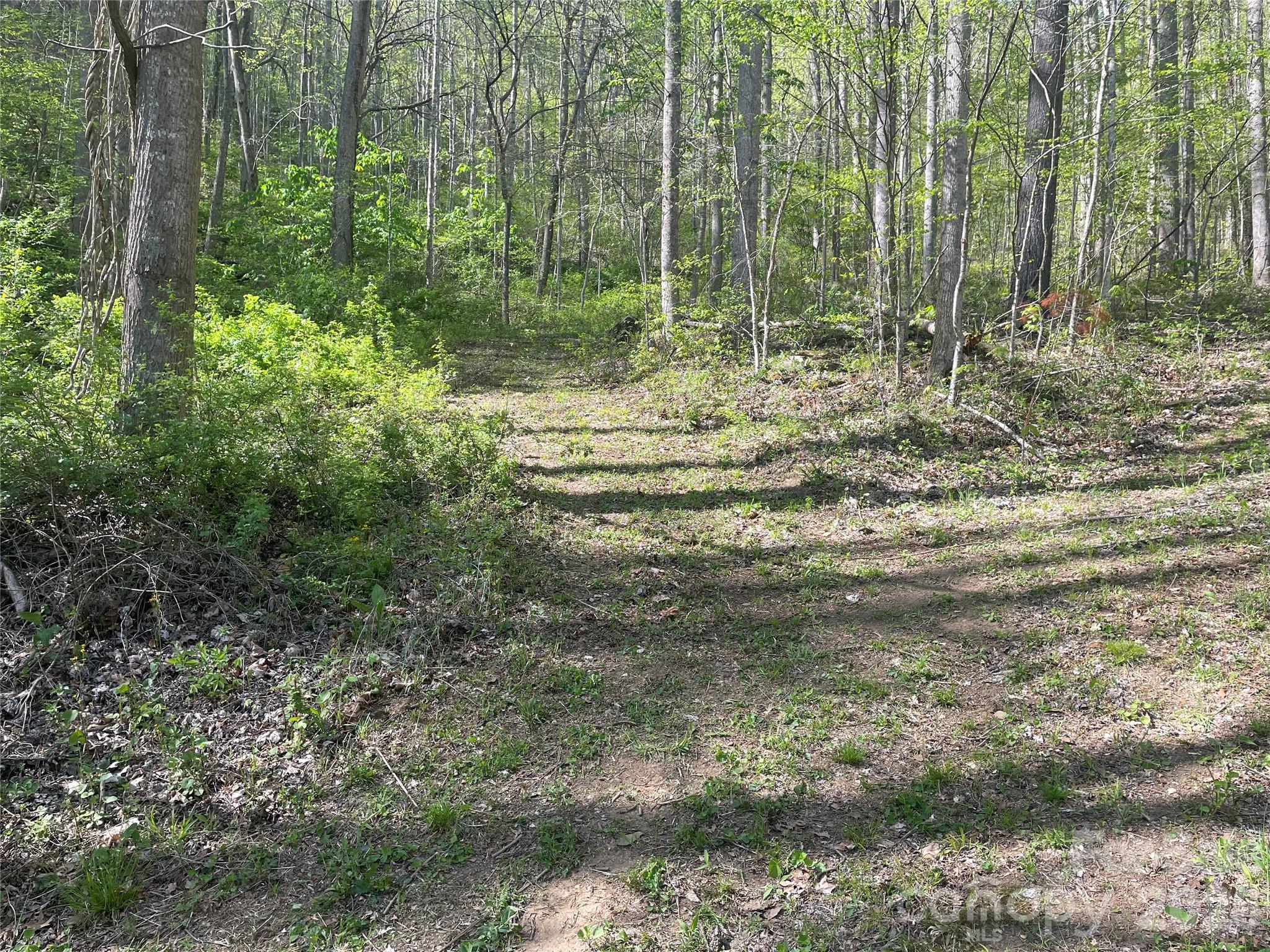 99999 Martins Creek Road Property Photo 6