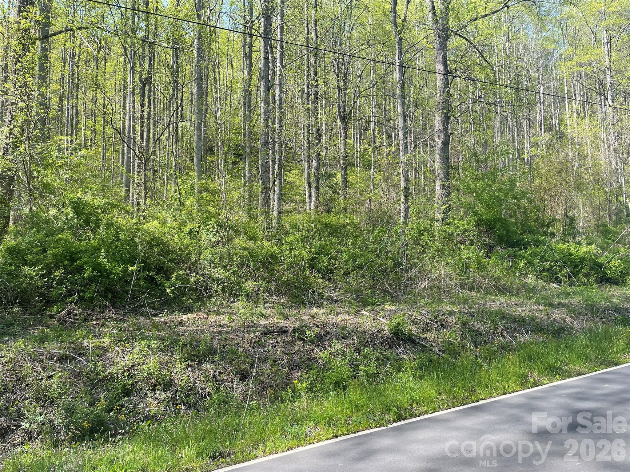 99999 Martins Creek Road Property Photo 7