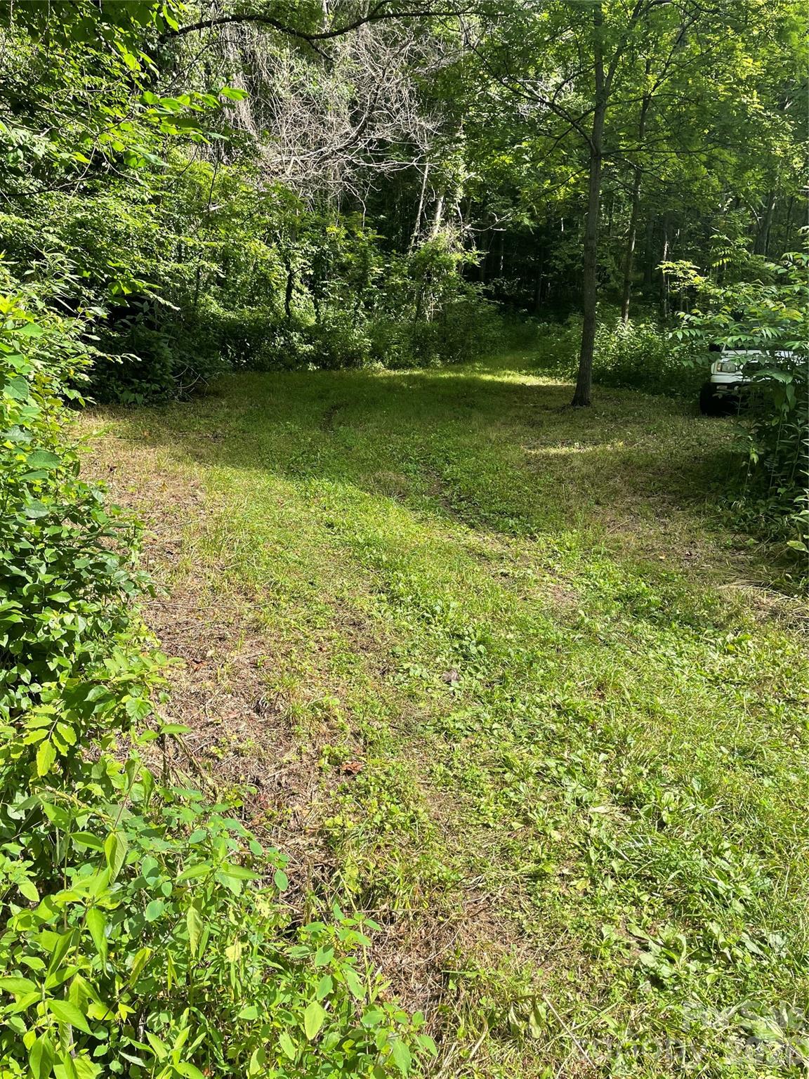 99999 Martins Creek Road Property Photo 12