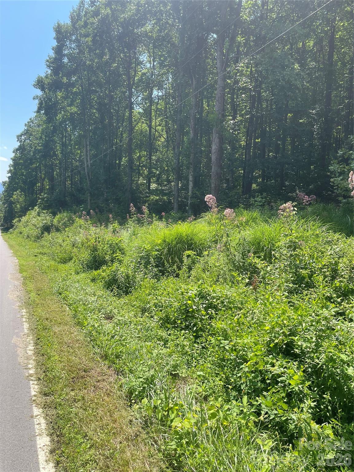 99999 Martins Creek Road Property Photo 13