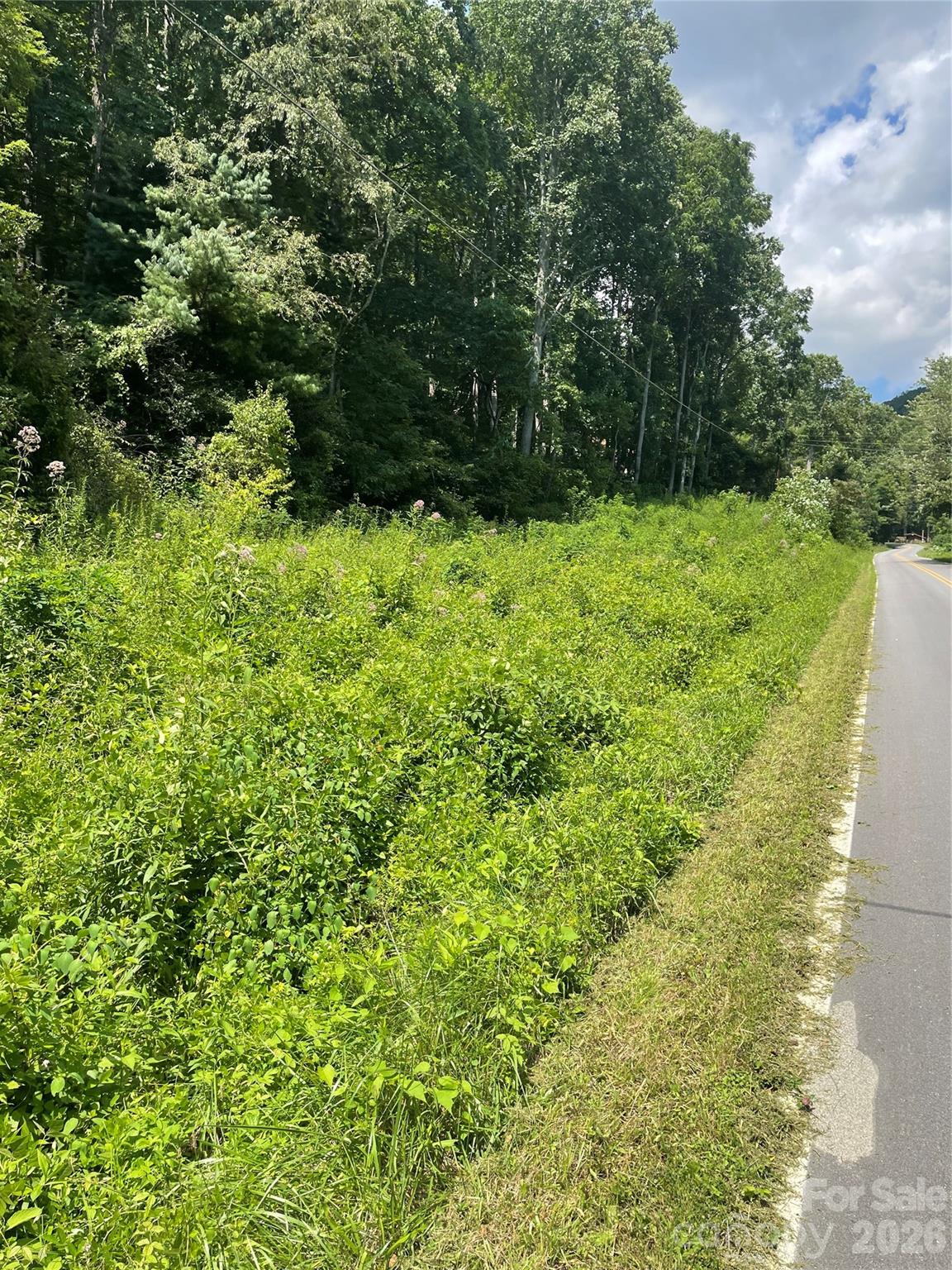 99999 Martins Creek Road Property Photo 15