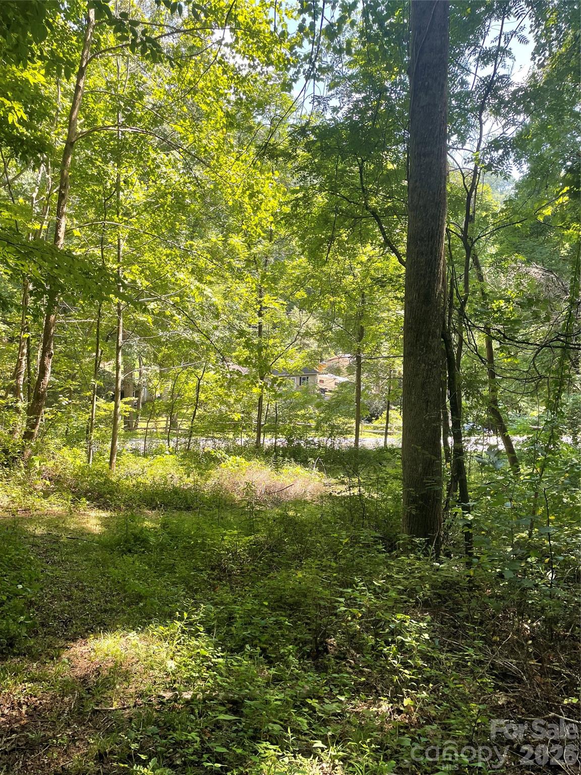 99999 Martins Creek Road Property Photo 16