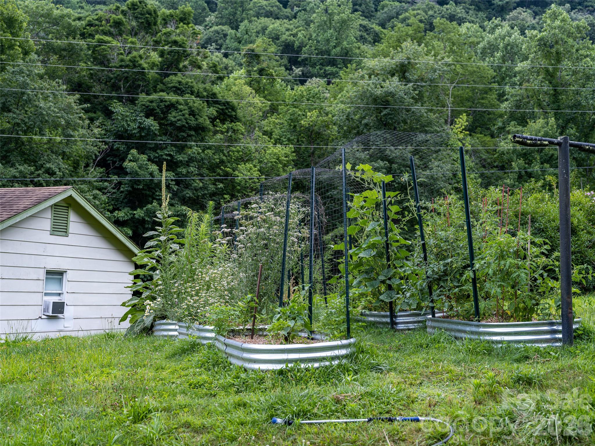 50 Rocky Branch Road Property Photo 44