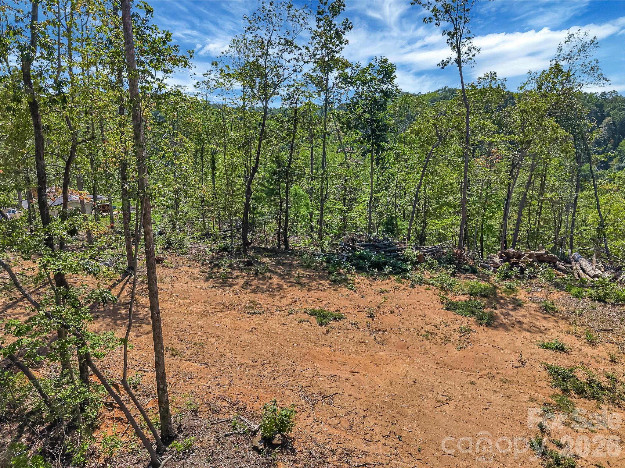 Tbd Early Road Property Photo 2