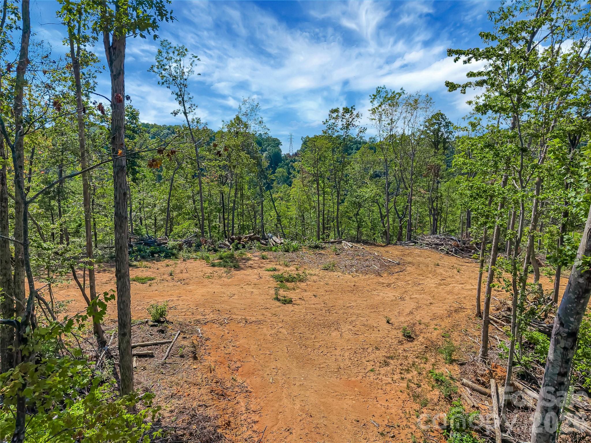 Tbd Early Road Property Photo 3