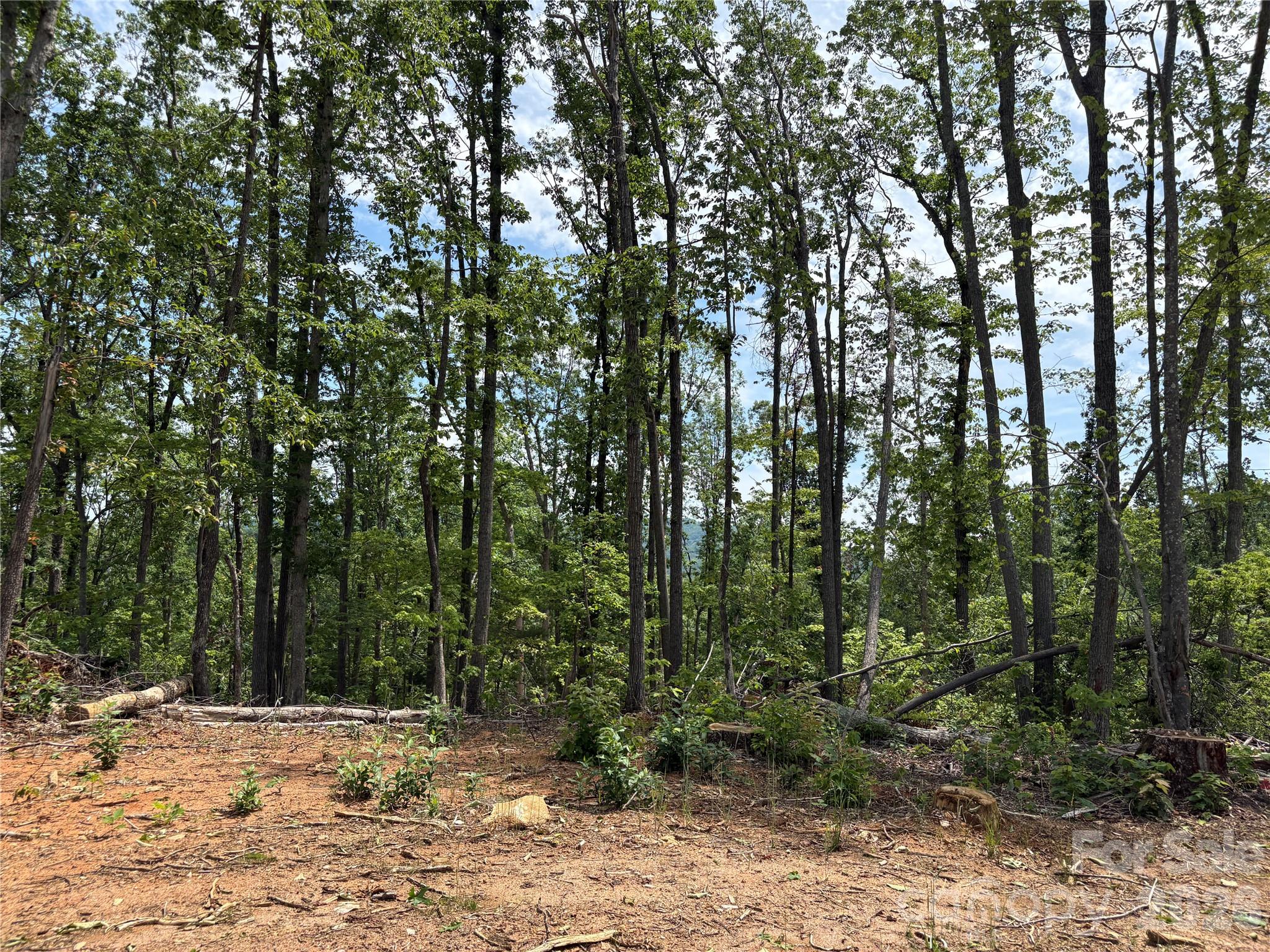 Tbd Early Road Property Photo 4