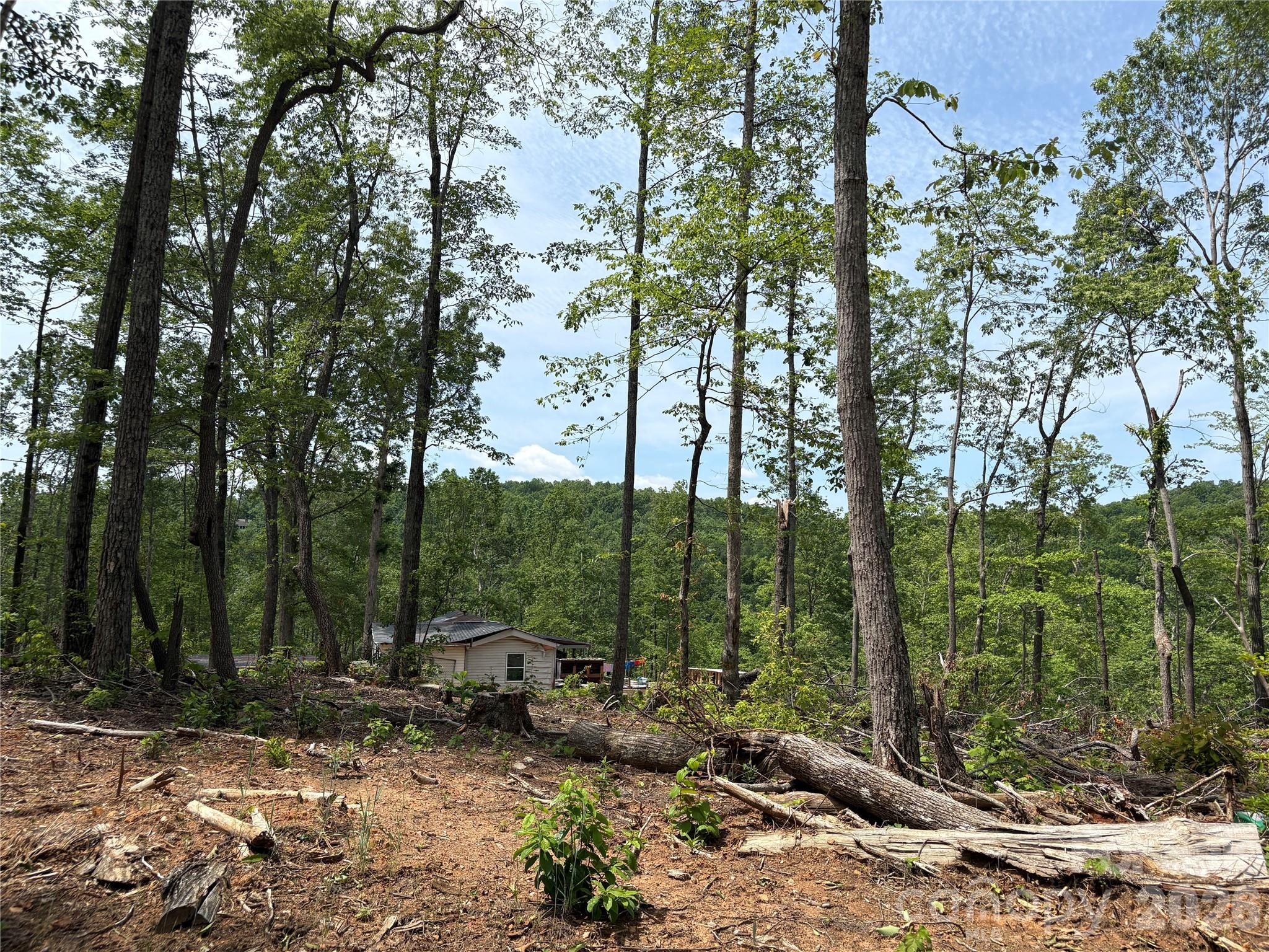 Tbd Early Road Property Photo 5