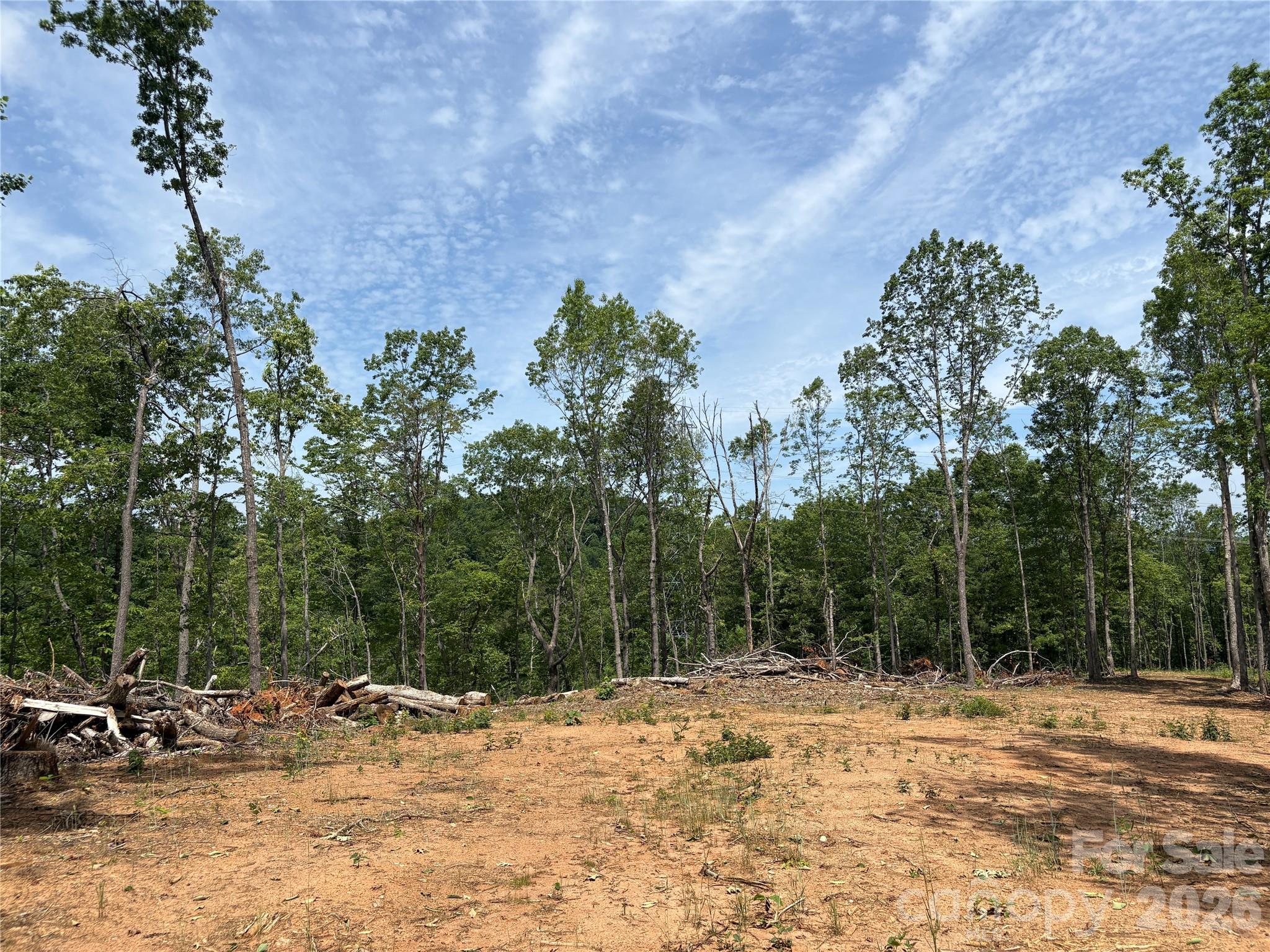 Tbd Early Road Property Photo 6