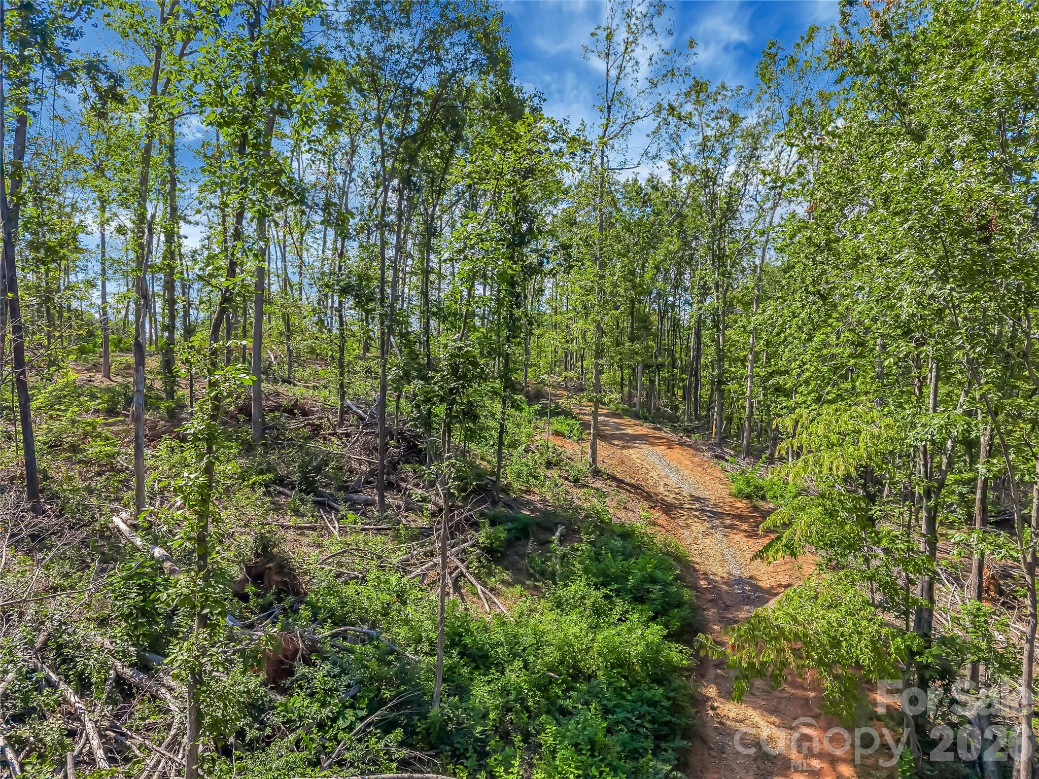 Tbd Early Road Property Photo 9