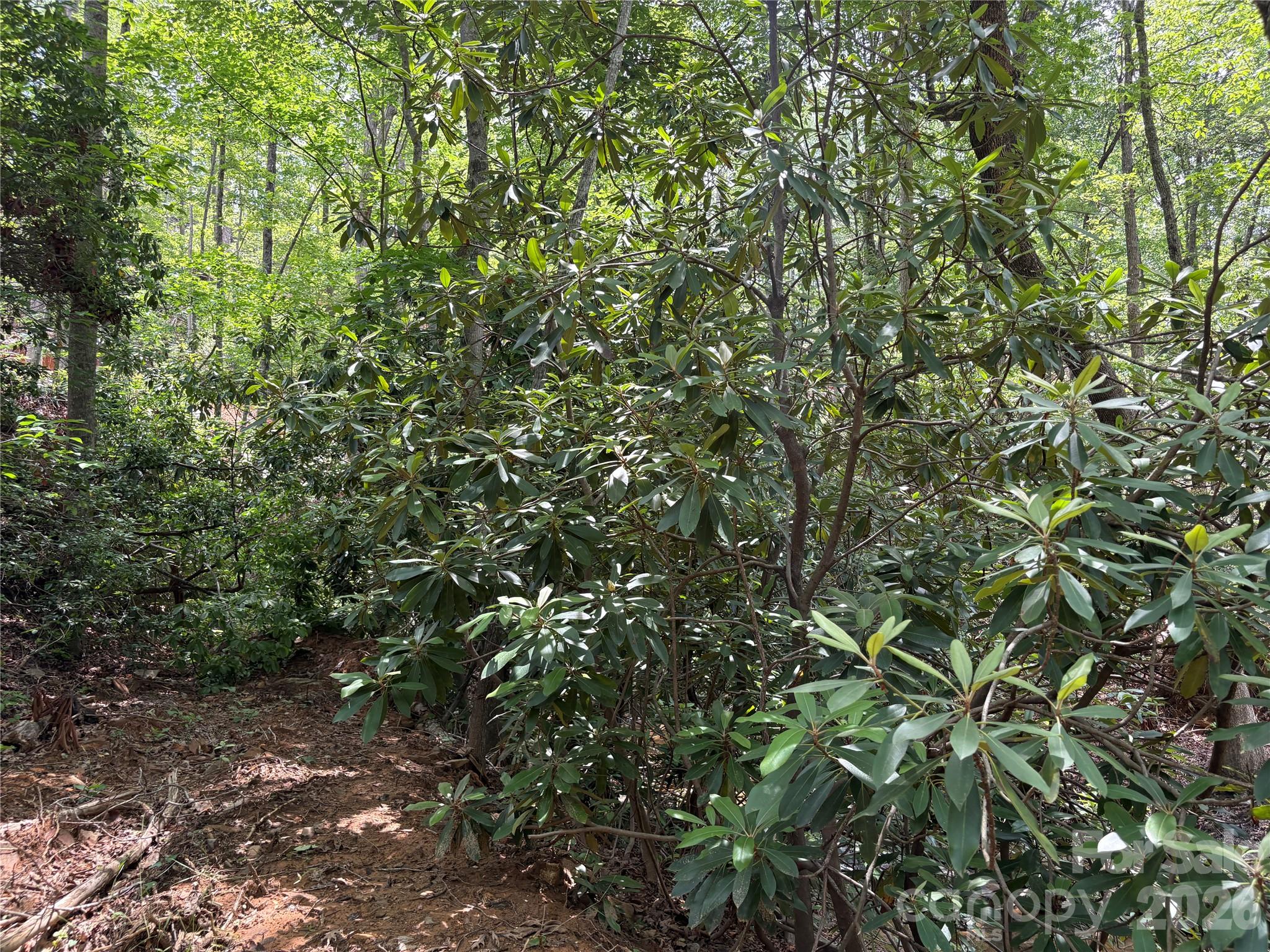 Tbd Early Road Property Photo 12