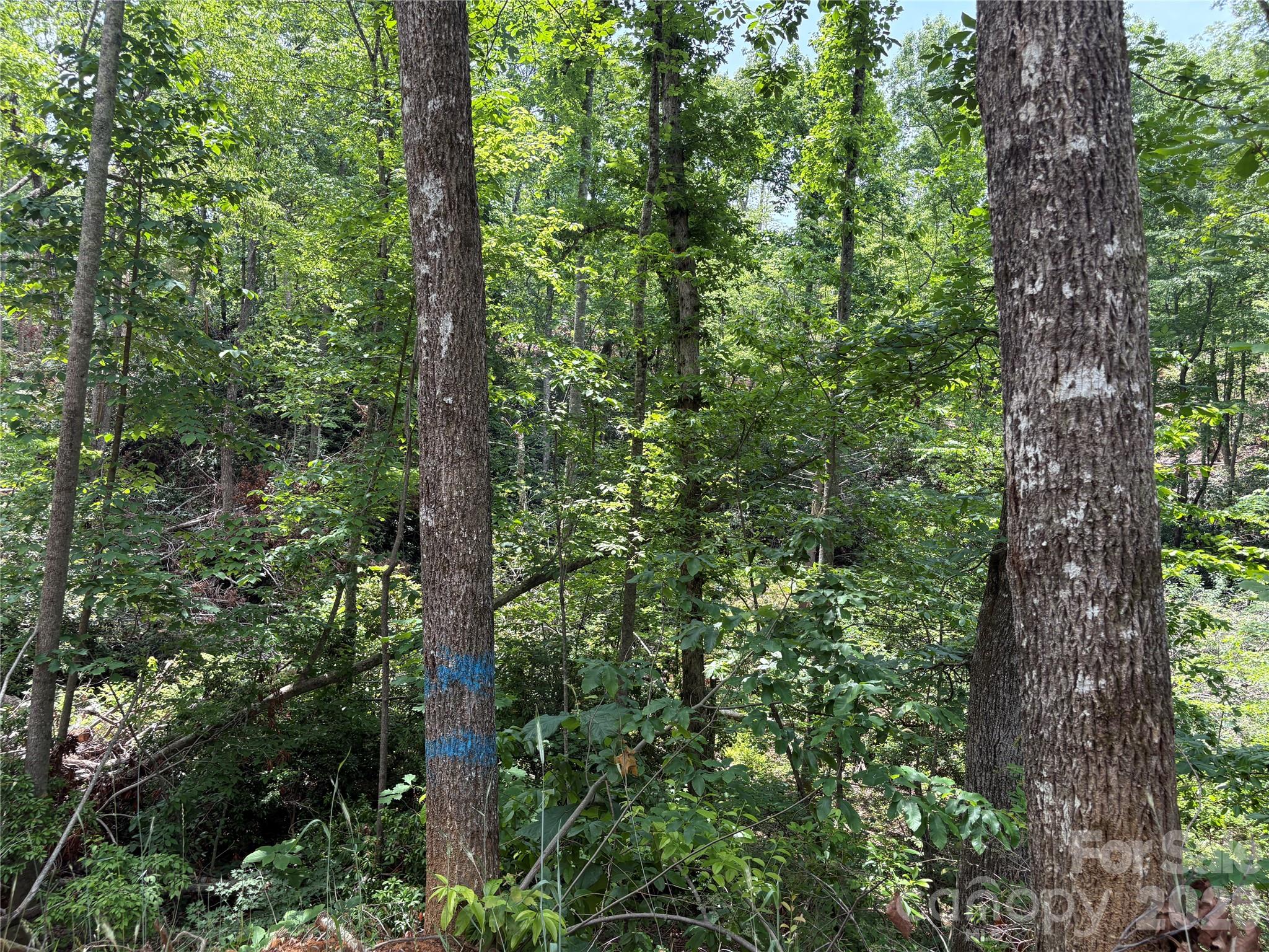 Tbd Early Road Property Photo 13
