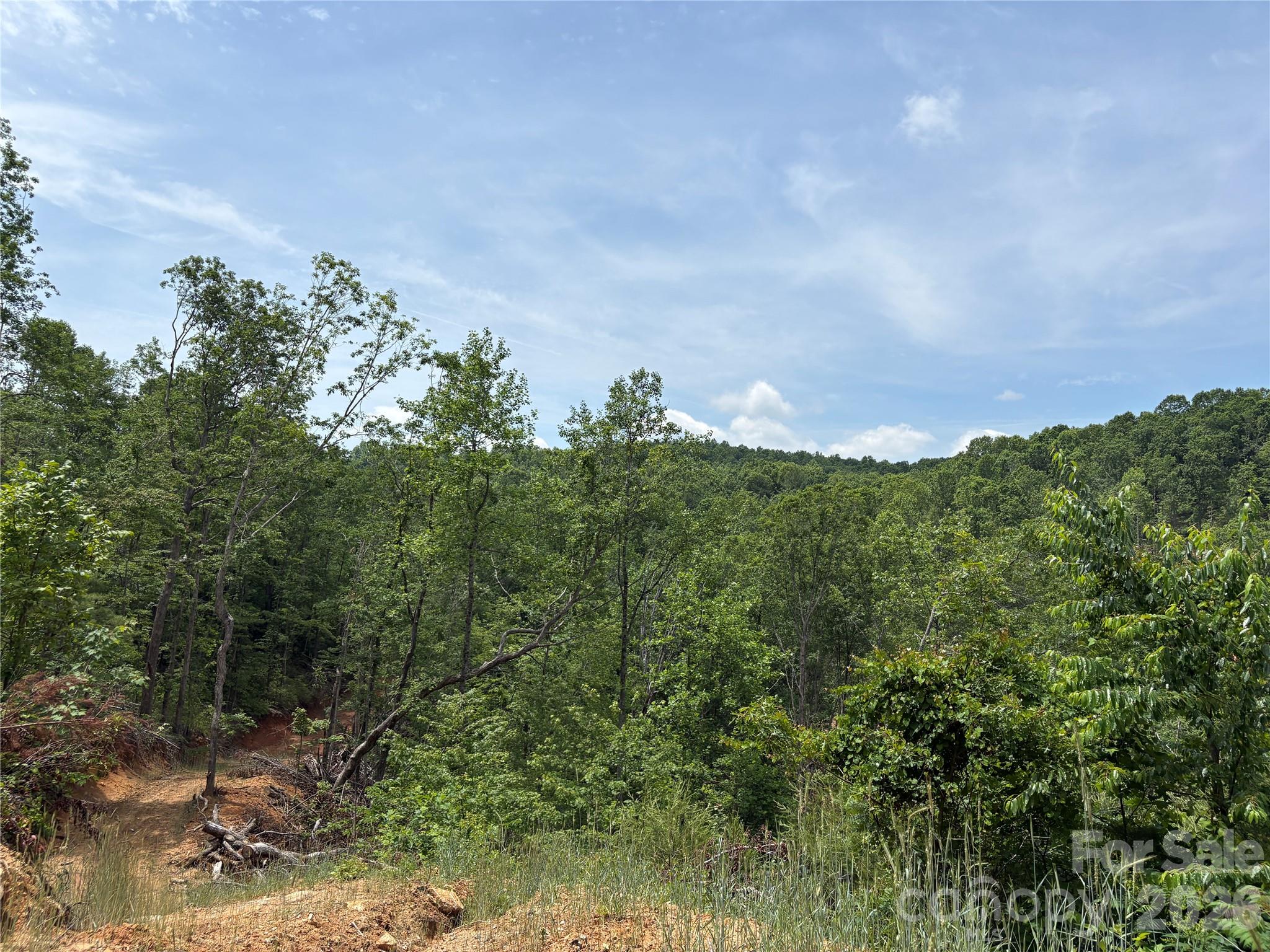 Tbd Early Road Property Photo 14