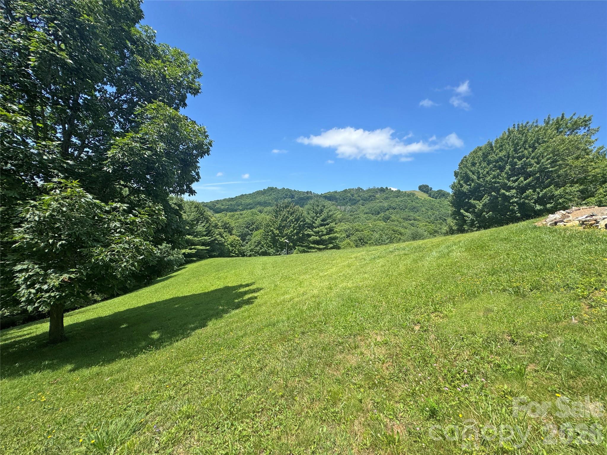 299 Basswood Road Property Photo 31