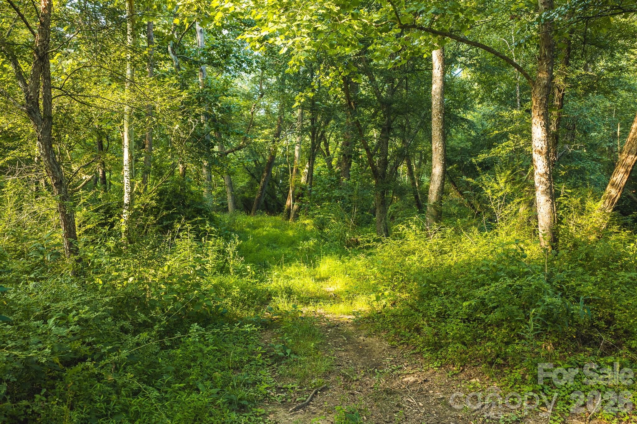 Tbd Sandbar Road Property Photo 1