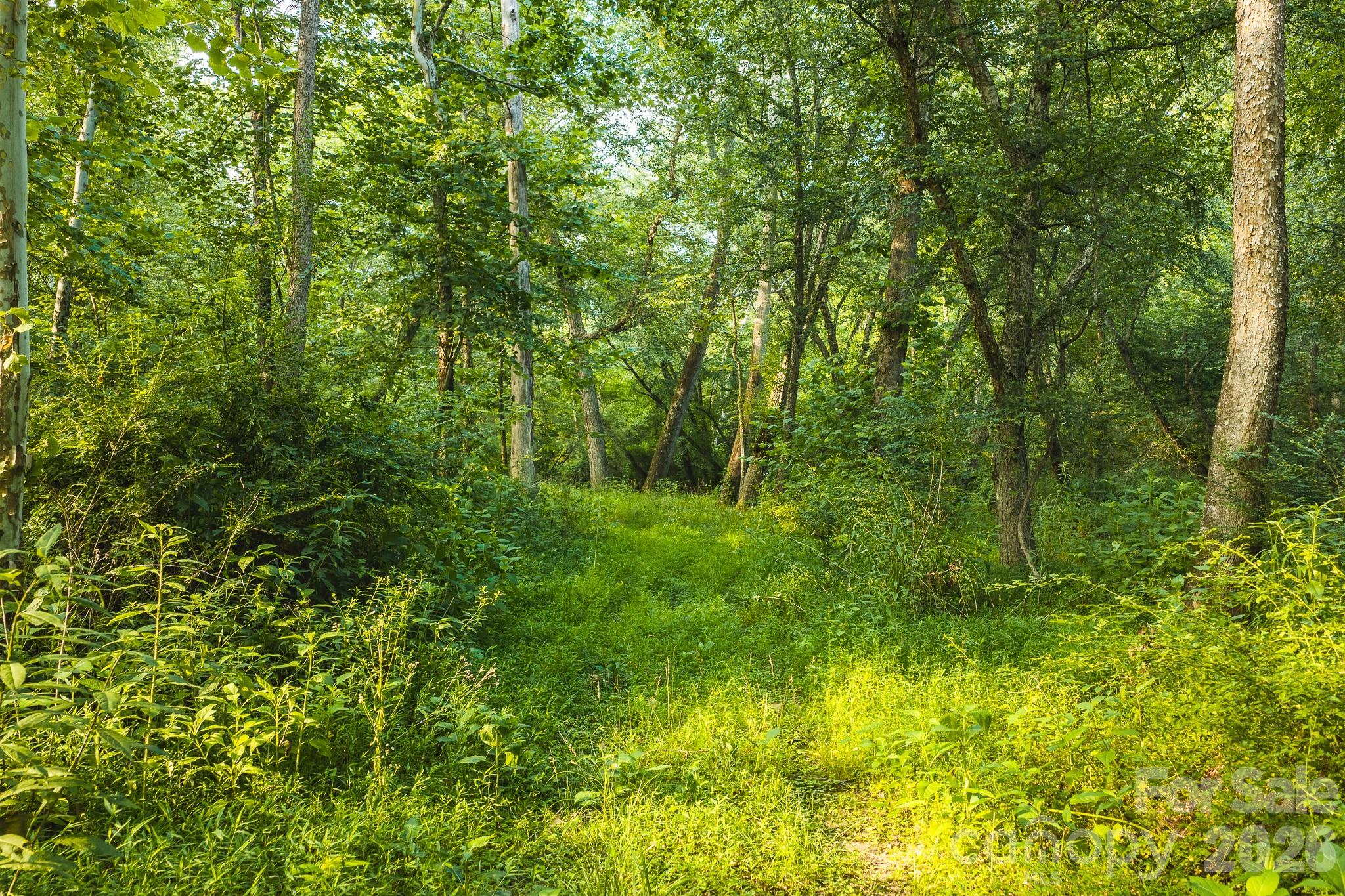 Tbd Sandbar Road Property Photo 2