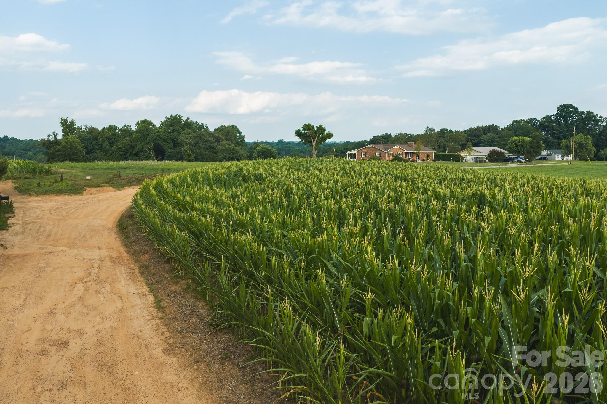Tbd Sandbar Road Property Photo 3
