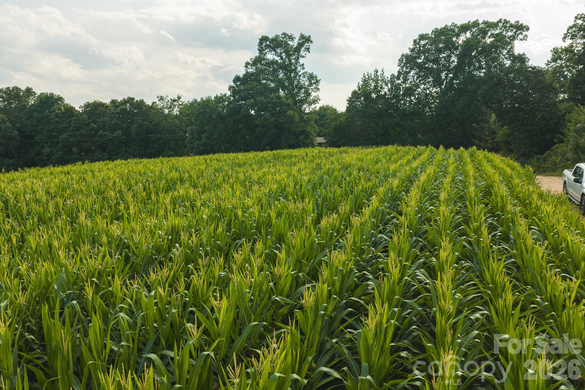 Tbd Sandbar Road Property Photo 4