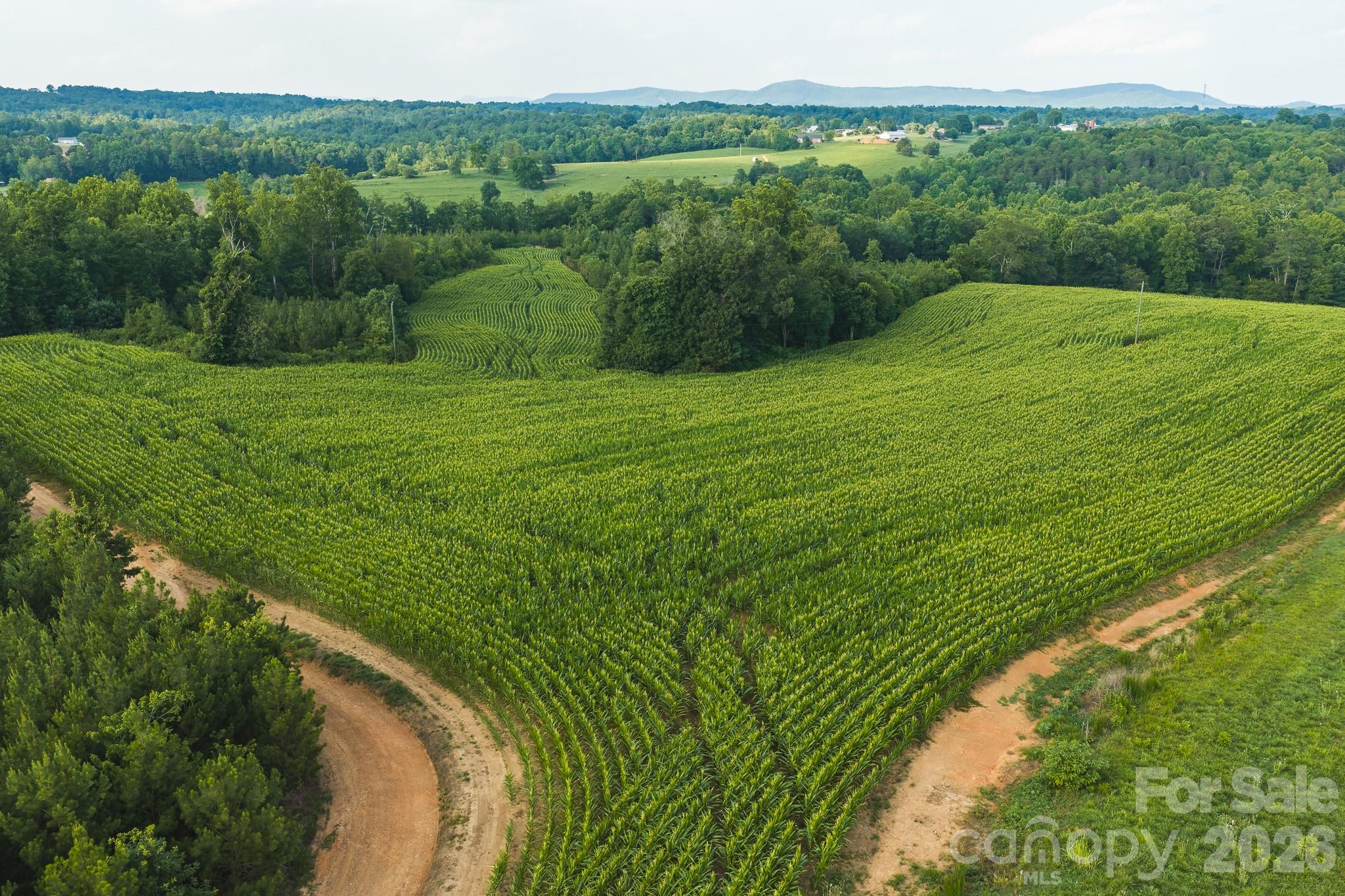Tbd Sandbar Road Property Photo 6