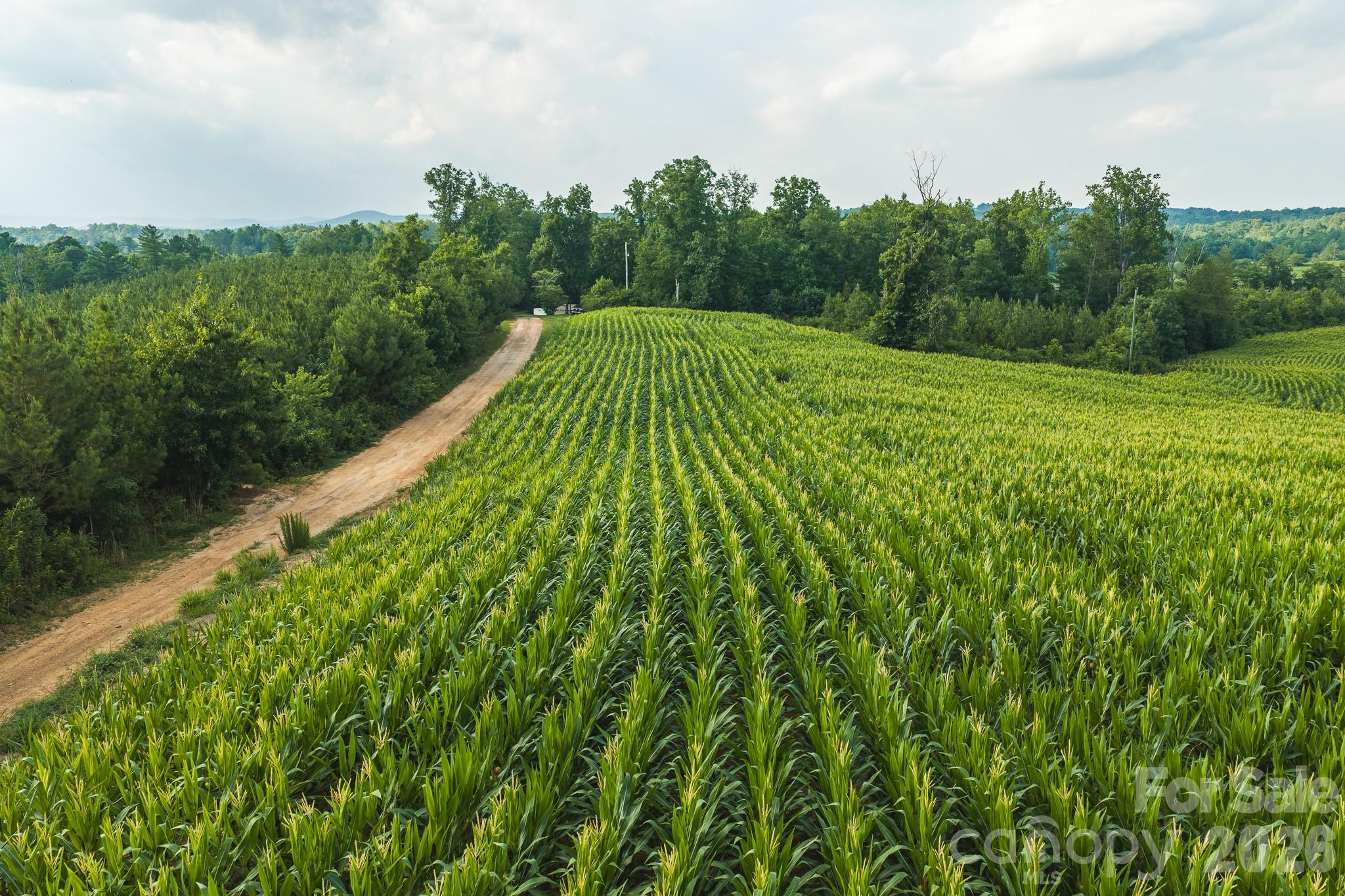 Tbd Sandbar Road Property Photo 7