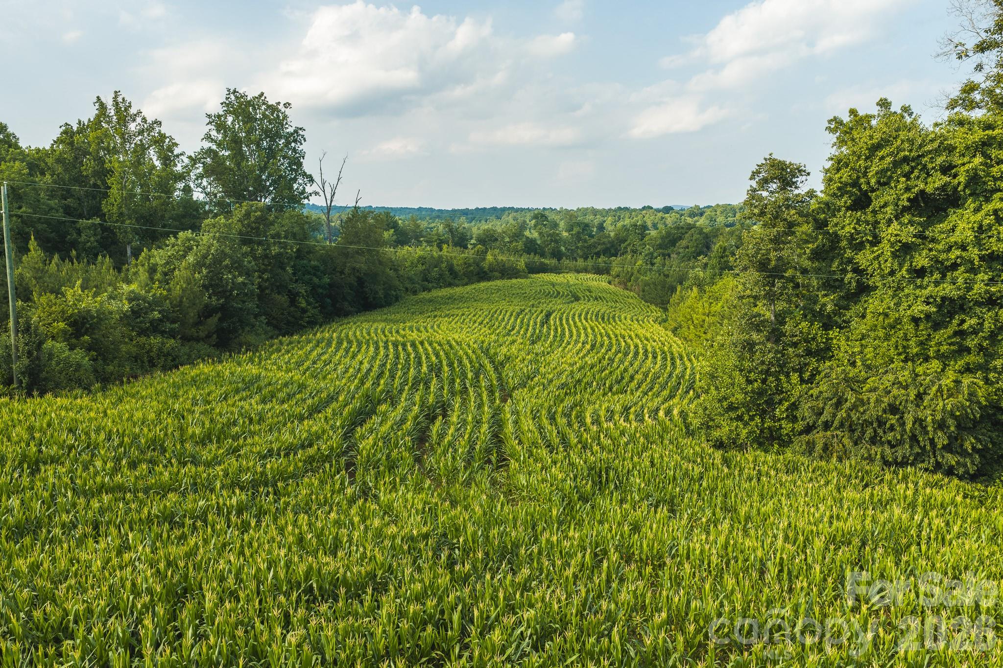 Tbd Sandbar Road Property Photo 8