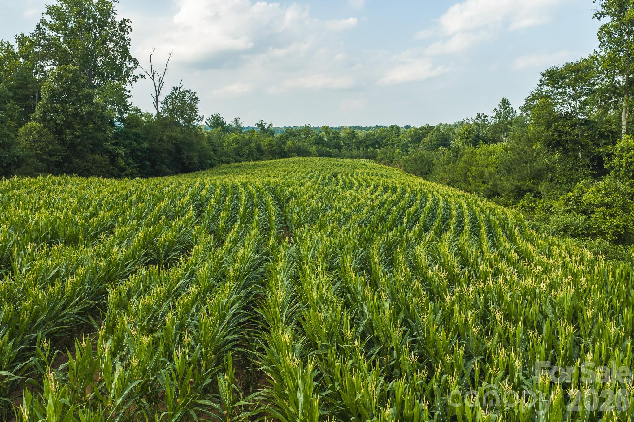 Tbd Sandbar Road Property Photo 9