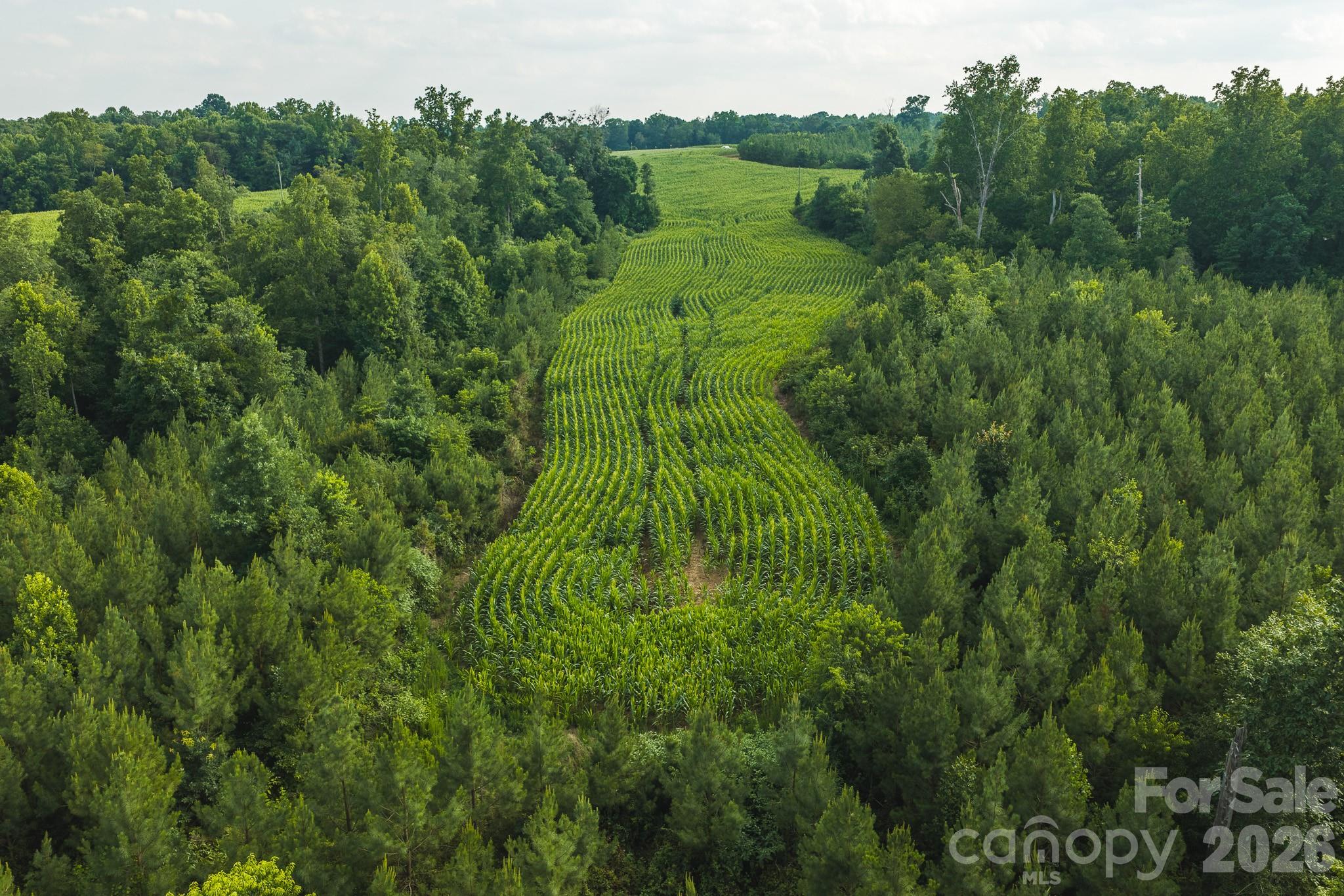 Tbd Sandbar Road Property Photo 10