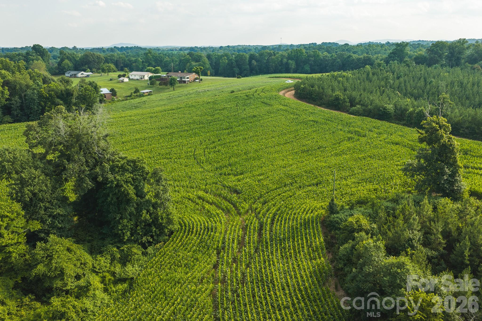 Tbd Sandbar Road Property Photo 11
