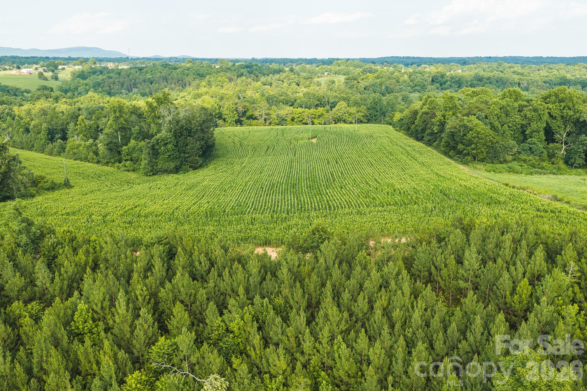 Tbd Sandbar Road Property Photo 12