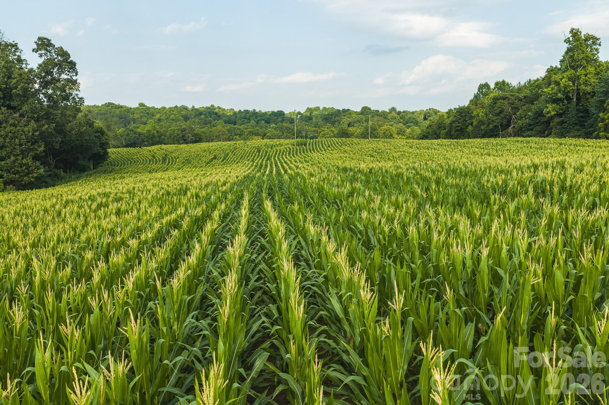 Tbd Sandbar Road Property Photo 13
