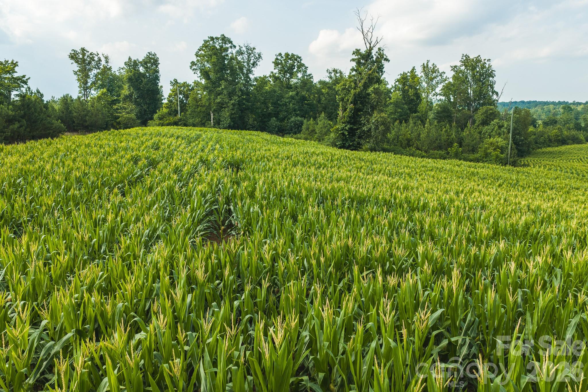 Tbd Sandbar Road Property Photo 14