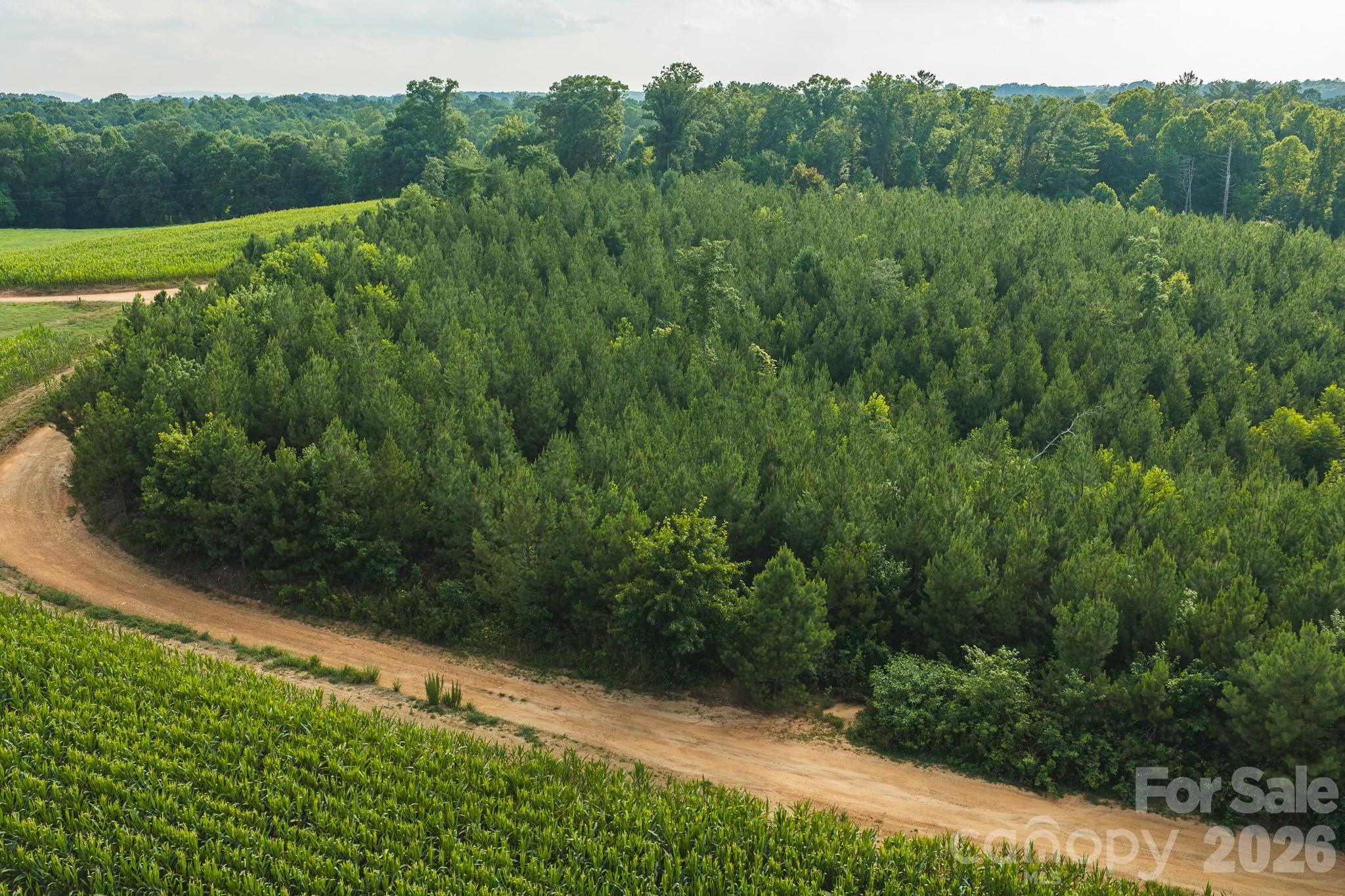 Tbd Sandbar Road Property Photo 16