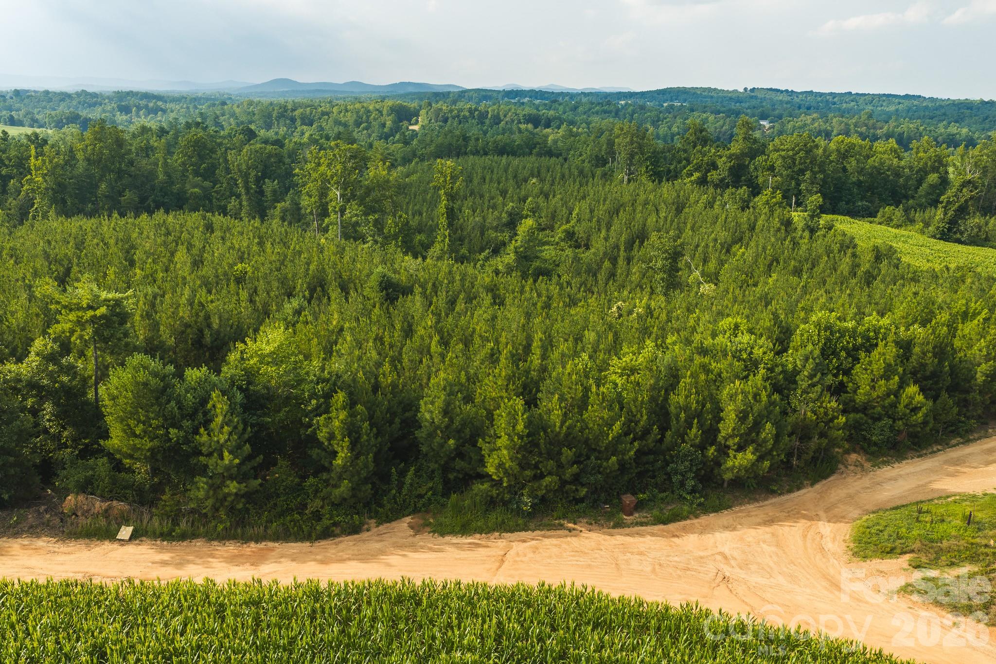 Tbd Sandbar Road Property Photo 17