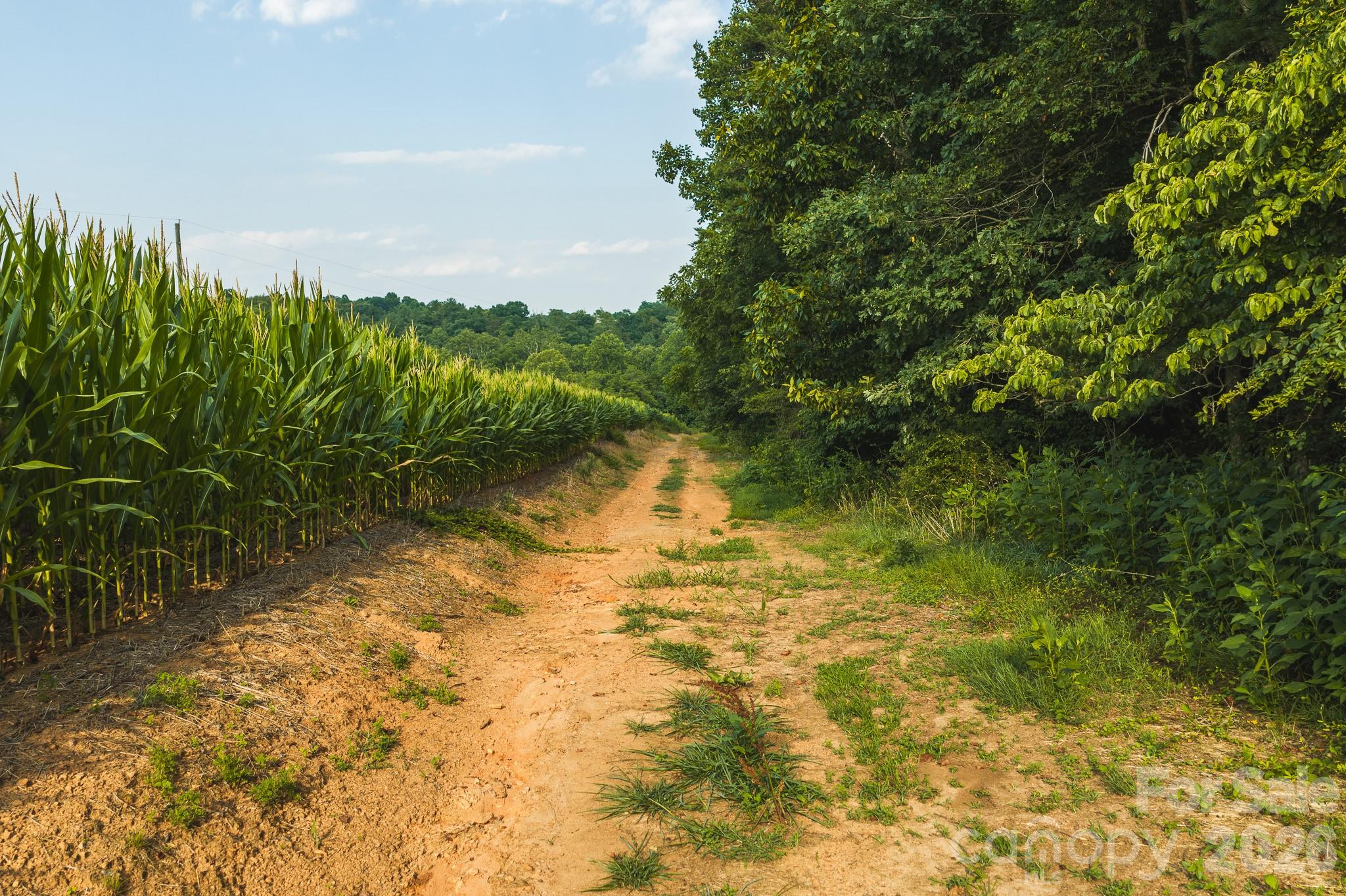 Tbd Sandbar Road Property Photo 18