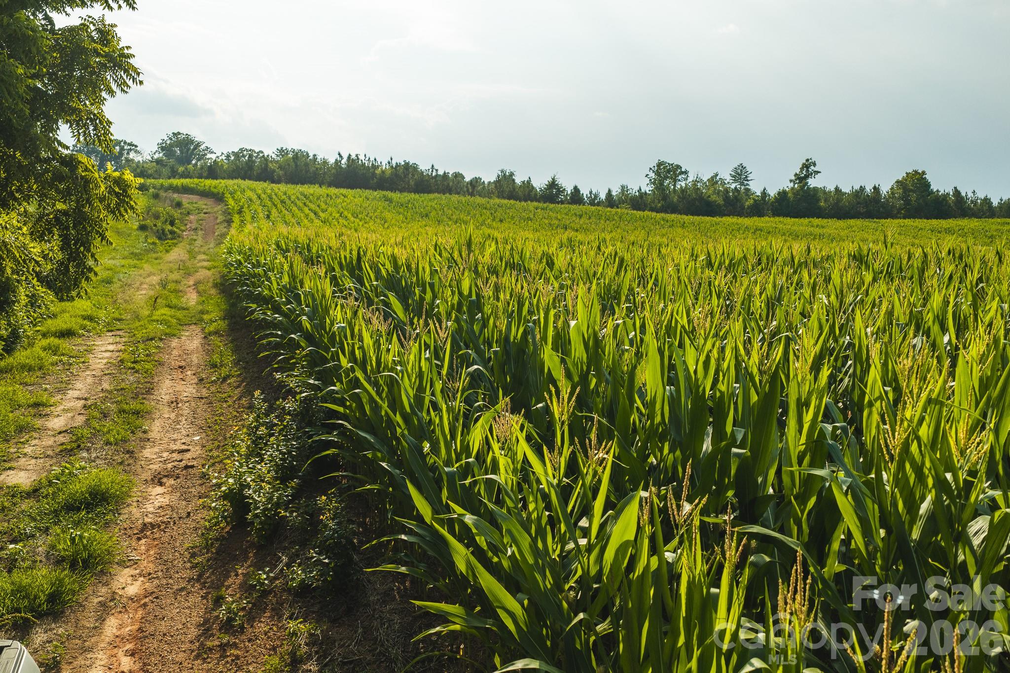 Tbd Sandbar Road Property Photo 19