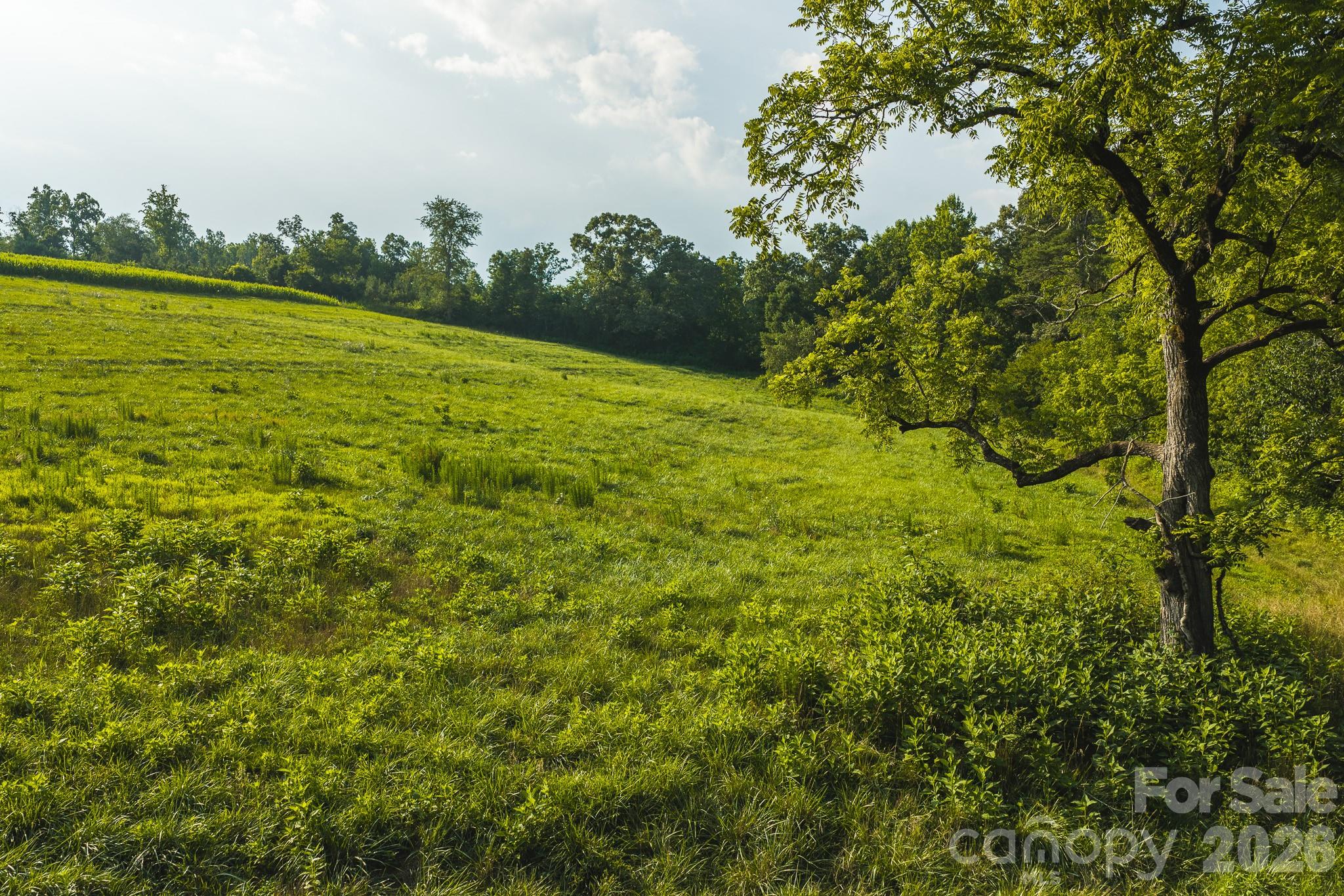 Tbd Sandbar Road Property Photo 20