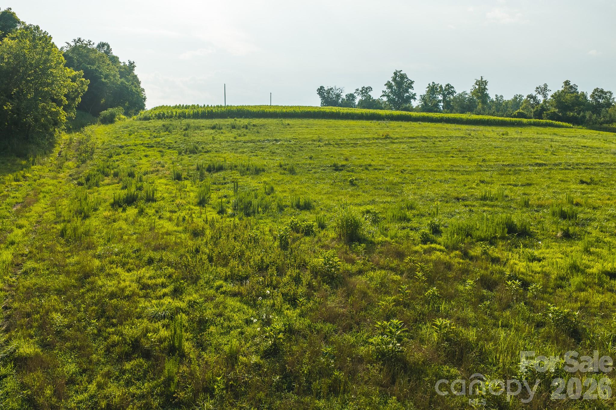 Tbd Sandbar Road Property Photo 21